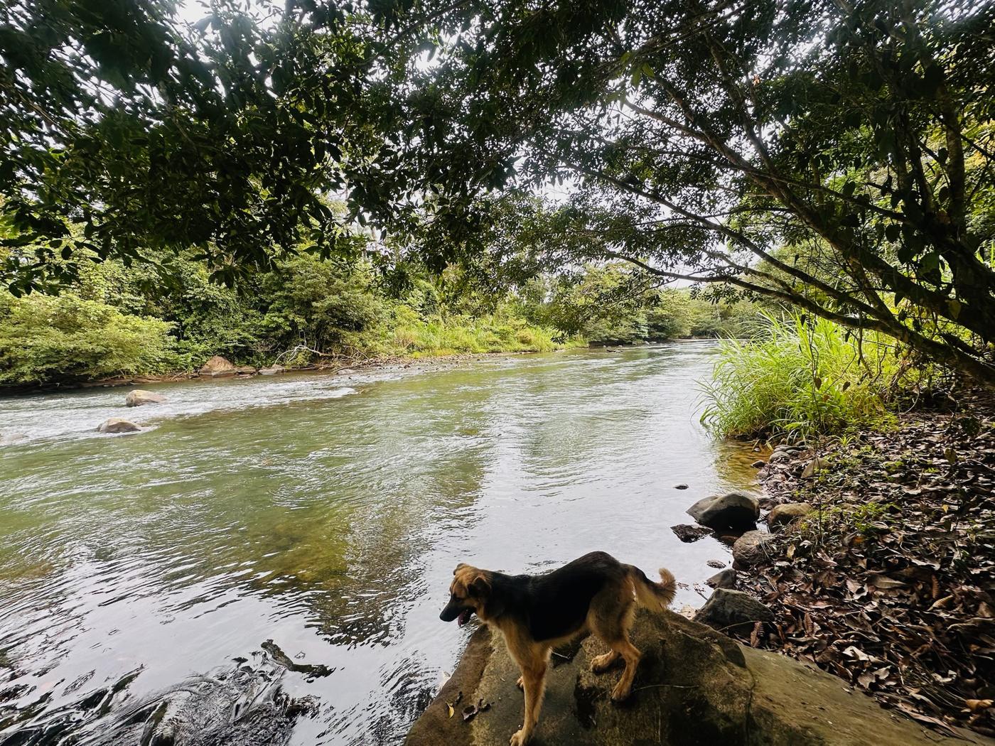 El río